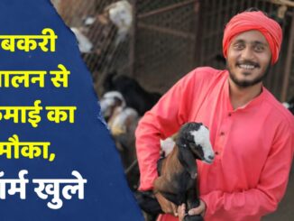 Bakri Palan Loan Subsidy 2026